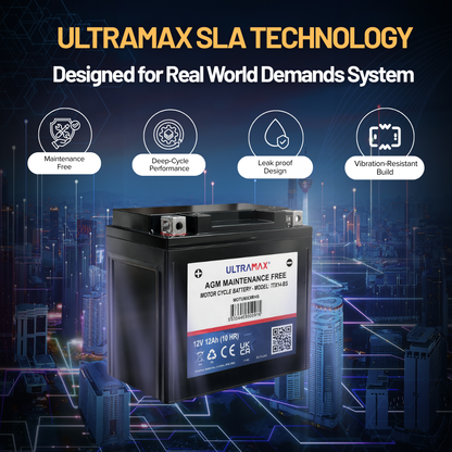 UltraMax 12V 22Ah, NP22-12 Bleisäureakku mit Ventilregulierung